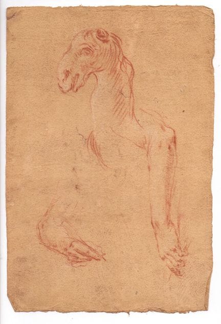 Study of a Camel’s Head and Two Hands, 18th-centur