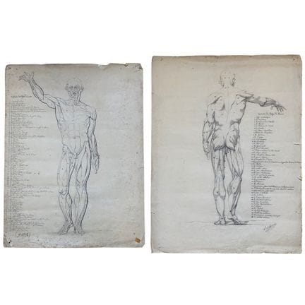 Flayed, 19th-century French artist

Lot of two dra