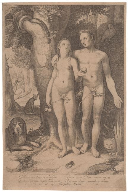 Jan Saenredam (copia da) Adam and Eve

Etching and
