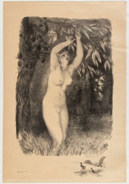 Félix Bracquemond, *Le Verger*, 1894

Lithographie