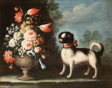 Künstler aus der Emilia, 18. Jahrhundert
()

Blume
