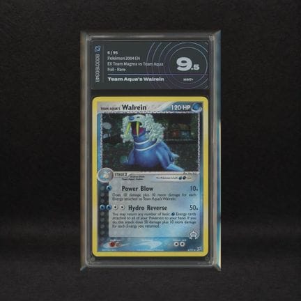 Team Aquas Walrein Nr. 6 Holo (Swirl), EX Team Mag