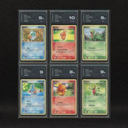 Hoenn Starter Set: Mudkip #59-60, Torchic #73-74, 