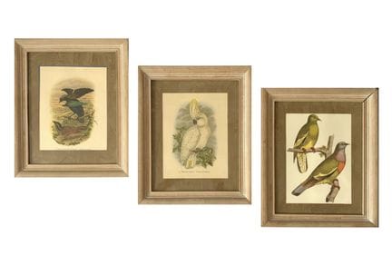 XXe SIECLE
Lot de trois reproductions de gravures 