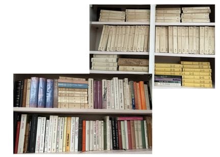 FONDO BIBLIOTECARIO
Gran lote de unos 140 libros d