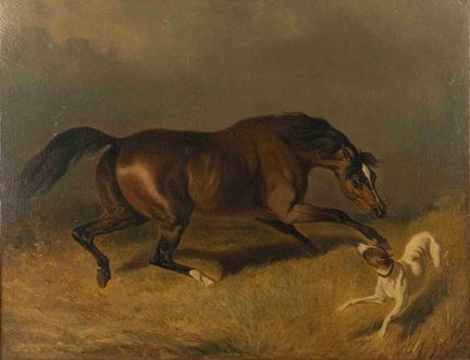 PIETER VAN LOON (1801-1873)
Caballo bayo con sabue