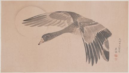 Okyo MARUYAMA (1733–1795), after
Wild Goose in Fli