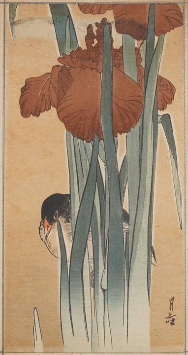 Japanese School, Meiji era (1868–1912)
Iris and mo