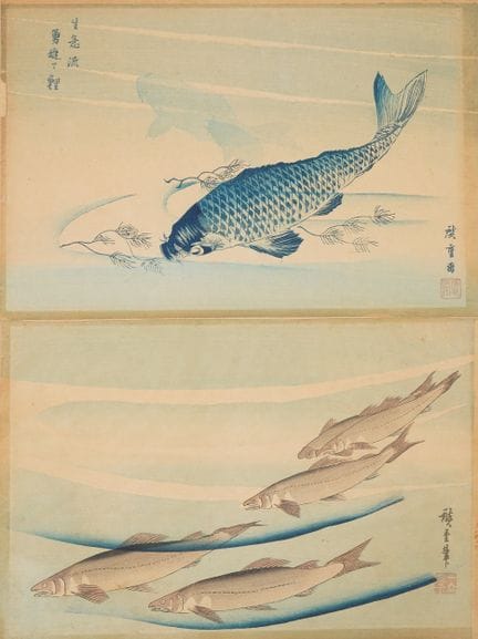 Hiroshige ANDO (1797–1858), after
A carp swimming 