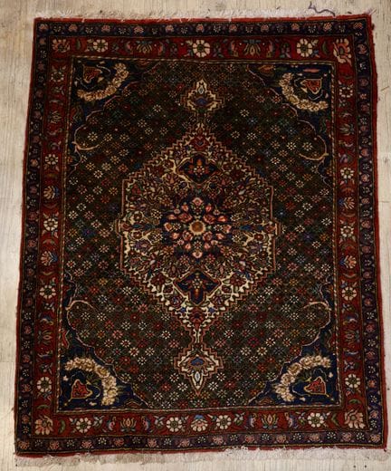 IRAN - BAKTIAR
Tapis en laine polychrome à points 
