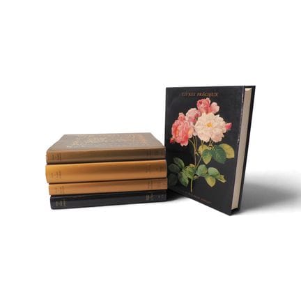 Ensemble comprenant 5 volumes de Patrik et Élisabe