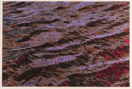 Ayomi Yoshida (Japanerin, geb. 1958). Farbiger Hol