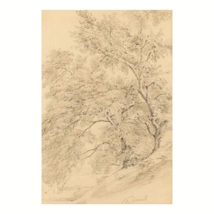 William Daniell (Engländer, 1769–1837). Zeichnung 