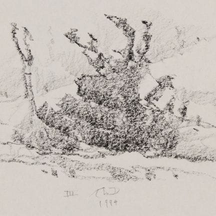 罗素·查塔姆（美国，1939-2019）。纸本炭笔或石墨素描，描绘了一幅极简主义的黑白风景画，199