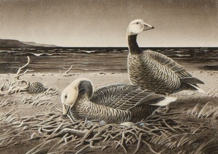 莱斯利（莱斯）·卡尔·库巴（美国，1917-1998）。纸本水彩画，局部点缀水粉，题为《在阿拉斯加育