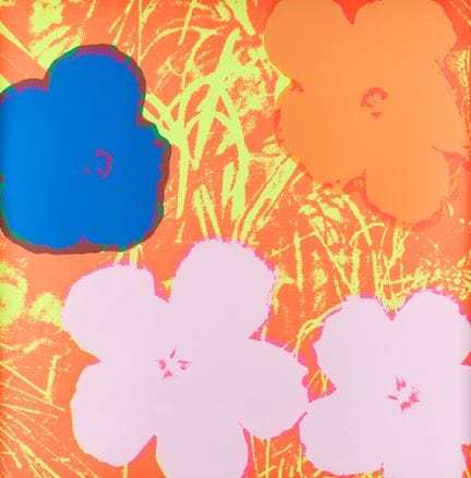 据安迪·沃霍尔（美国，1928-1987）原作改编。此为基于沃霍尔《花卉》系列的彩色丝网印刷作品，采