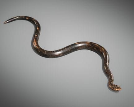 UNA RARA SERPIENTE A TAMAÑO REAL, TERRACOTA ESMALT