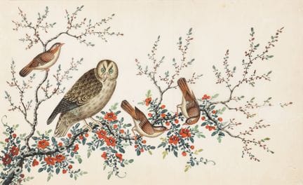 Peinture chinoise représentant des oiseaux sur pap