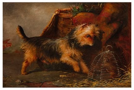 约翰·克里斯托弗·贝尔（英国，1823-1892） 《嗅踪的约克夏犬》 签名“J C Bell”（左