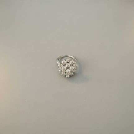 RING in 750° gold and 950° platinum, set with 20 m