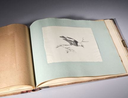 Album Amicorum comprenant environ 45 dessins : Por