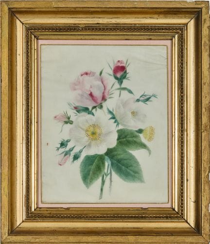 École française du XIXe siècle 
Roses trémières 
G