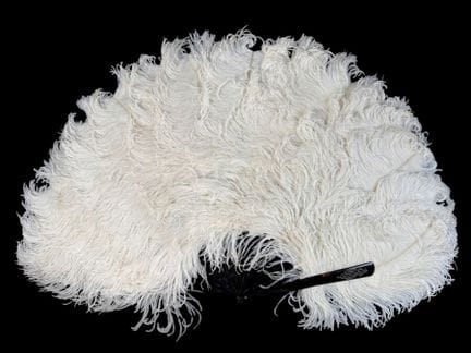 Piume bianche, Europa, 1890-1900 circa
Grande vent