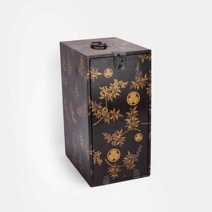 A Japanese lacquer kodansu, 19th century, the rect