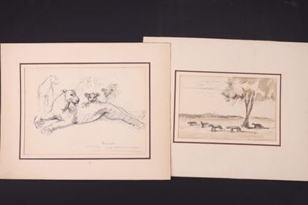 Paul DAXHELET.
Leoni. Set di 2 pezzi. Acquerello, 