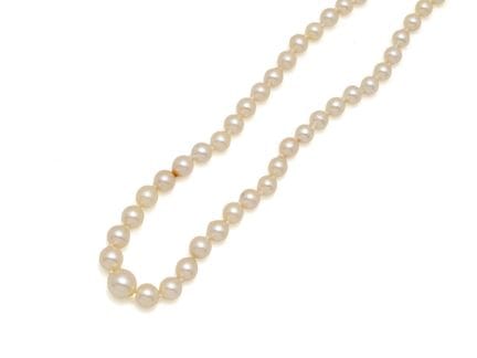 Collier composé d'une chute de perles de culture d
