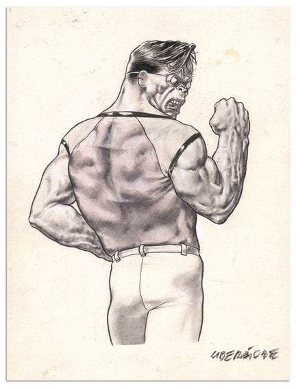 Liberatore
TANINO LIBERATORE
RANXEROX (T.3)
Albin 