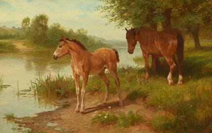 BASIL BRADLEY (BRITISCH, 1842–1904) STUTE UND FÖHL