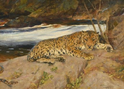ARTHUR WARDLE (BRITISCH, 1864–1949) „Ruhender Leop