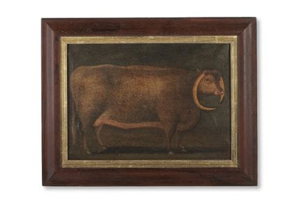 ÉCOLE ANGLAISE (XIXe SIÈCLE) UN TAUREAU À CORNES L