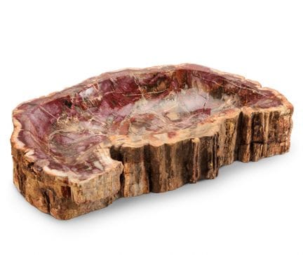 BOL EN RACINE D'ARBRE FOSSILISÉ – XXe SIÈCLE – De 