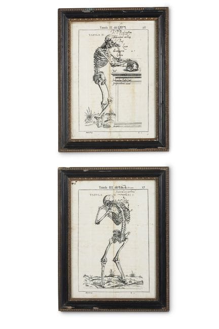 D'APRÈS ANDREAS VESALIUS : DEUX ESTAMPES « MOMENTO