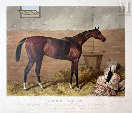 SUMMERS W.
里昂勋爵  1866年埃普森德比大赛冠军  理查德·萨顿所有
圣马丁
阿斯尼埃