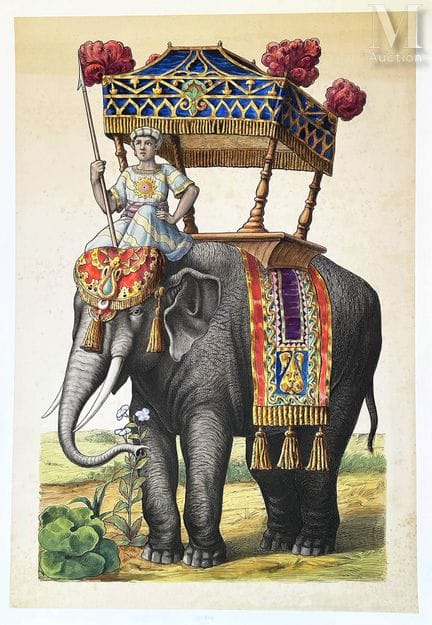 Elefante y su cornac. Gouache de la India. Pieza ú
