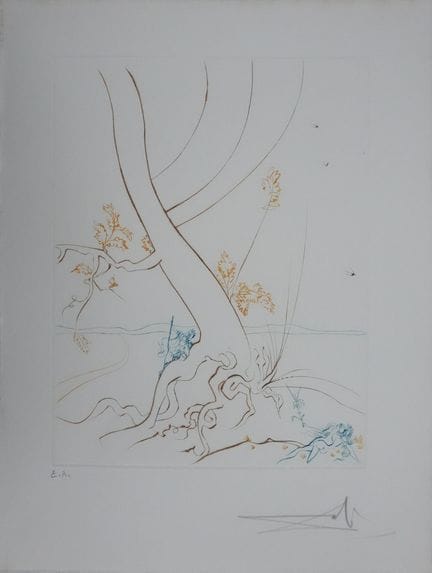 萨尔瓦多·达利（1904-1989）
《失乐园：知识之树》

原版版画（里加尔工作室）
铅笔签名
标