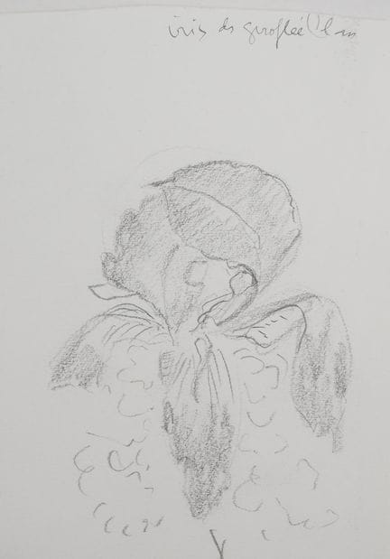 Lily Masson
Lily MASSON
Iris e garofano

Disegno o