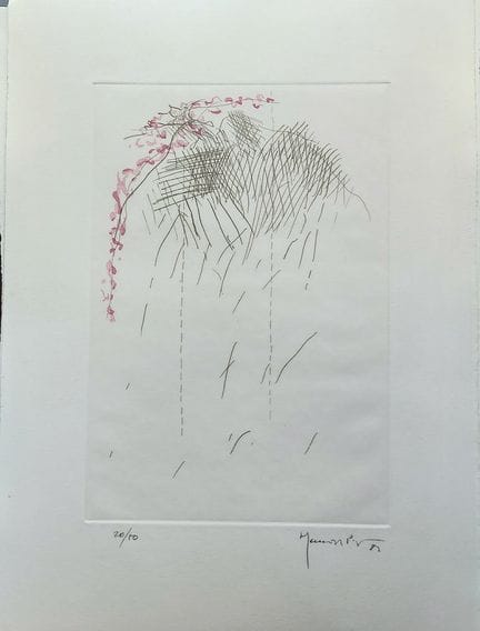 胡安·埃尔南德斯·皮胡安
胡安·埃尔南德斯·皮胡安（1931—2005）
PL1，1982

Gua
