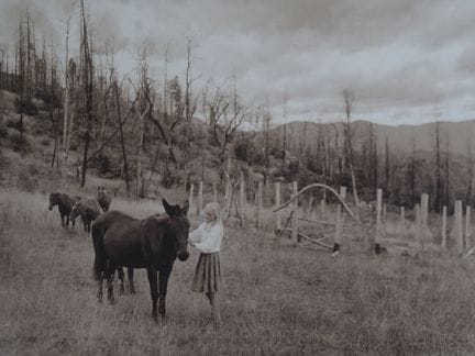 乔克·斯特奇斯，
《雾蒙蒙的黎明》；北加利福尼亚，1996-1993

摄影作品，原版数码冲印
手写