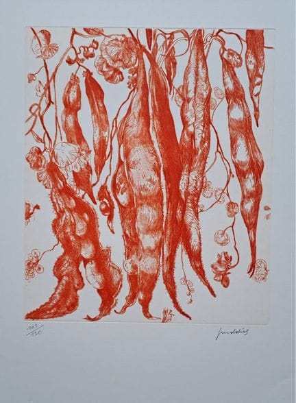 Gérard Diaz (1938-)
Les haricots au vent

Gravure 