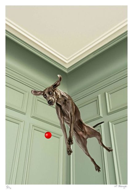 Mr Strange
Charly Jump, 2019

Pigmentdruck auf Fab