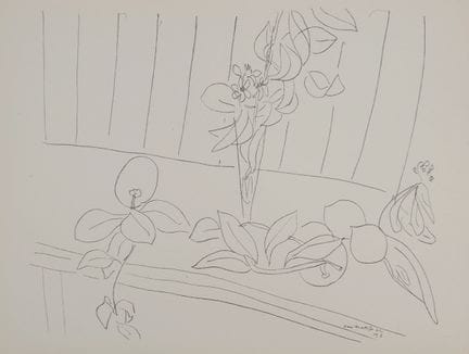 Henri Matisse
Henri MATISSE (1869-1954)(d'après)
L