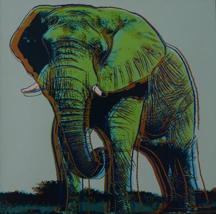 Andy Warhol 
Éléphant, tiré de la liste des espèce