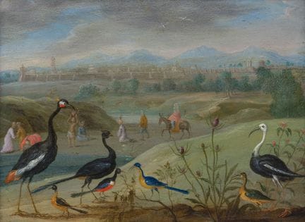 Jan van Kessel (1626–1679): Exotische Vögel in ein