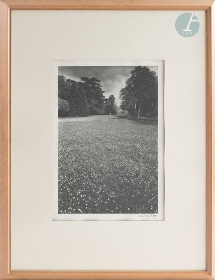 Jean Loup SIEFF (1933–2000)
Wooded Park
Black-and-