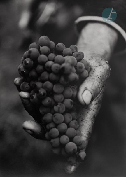 The Winemaker's Hand
Black-and-white photographic 
