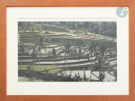 Rice Fields
Color photograph
Dimensions: Image: 29